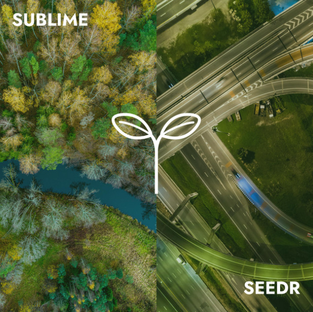 Sublime by SEEDR, released in 2025, is a cinematic electronic music track.